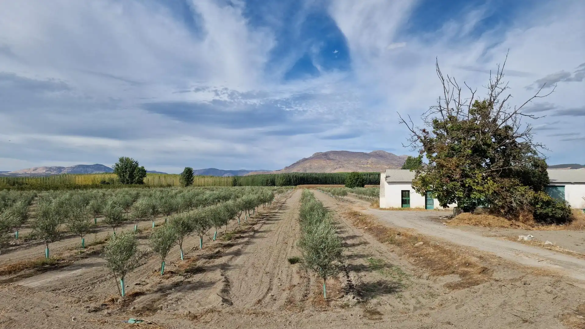 Vista exterior de Terreno en venta en Santa Fe