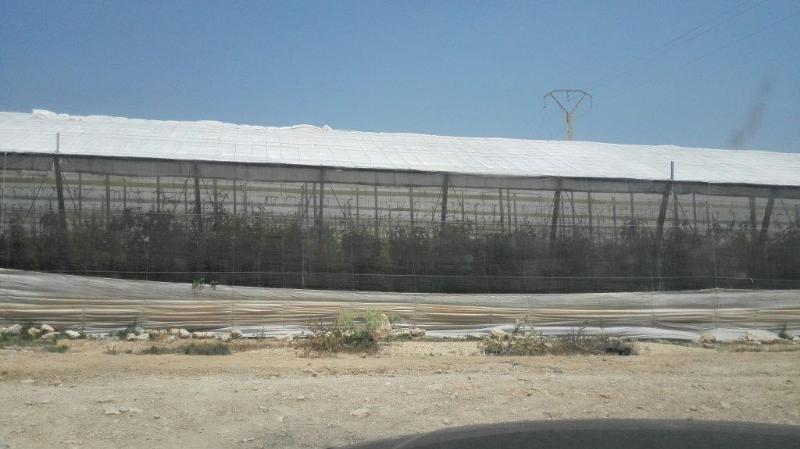 Land for sale in N/A, Oliveros - Altamira