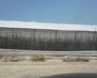 Land for sale in N/A, Oliveros - Altamira