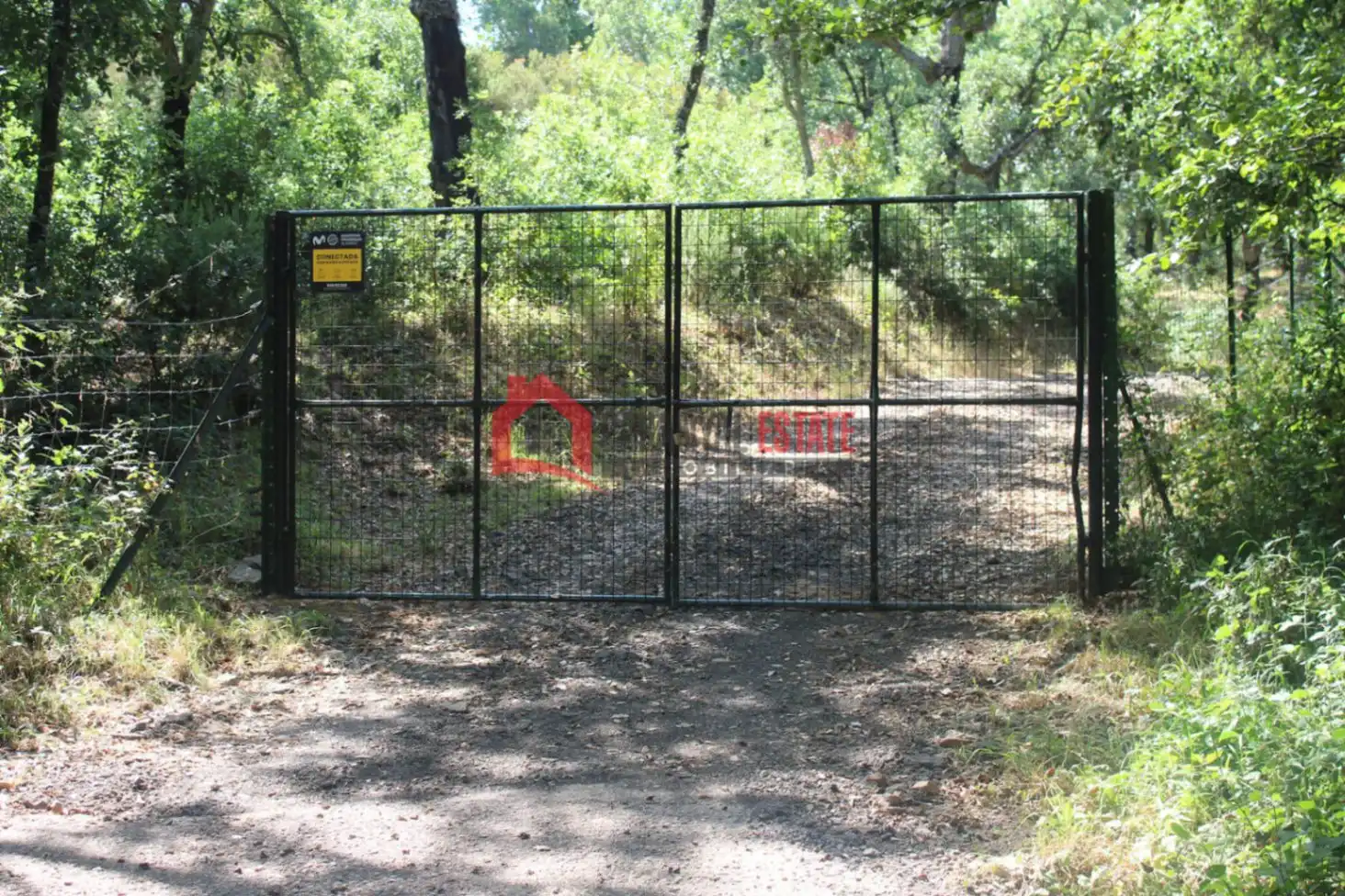 Vista exterior de Casa o xalet en venda en Fuencaliente amb Jardí privat, Terrassa i Traster