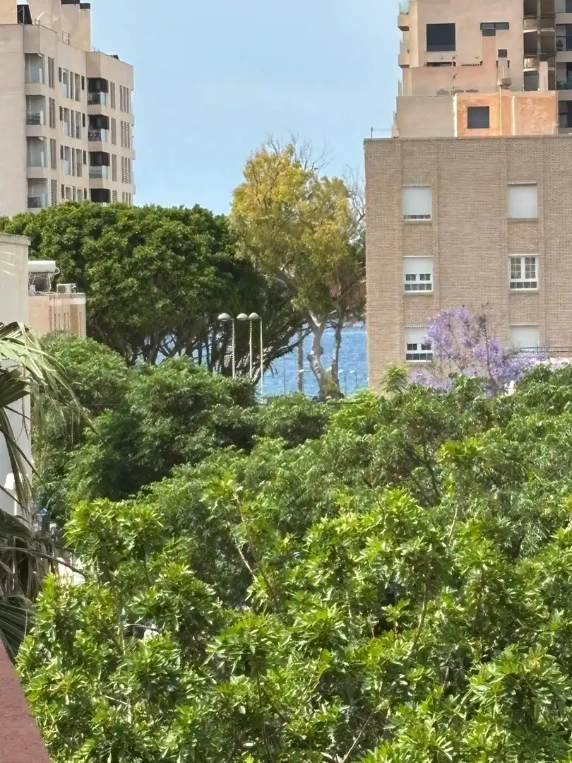 Vista exterior de Casa adosada en venda en Almería amb Aire condicionat, Calefacció i Jardí privat