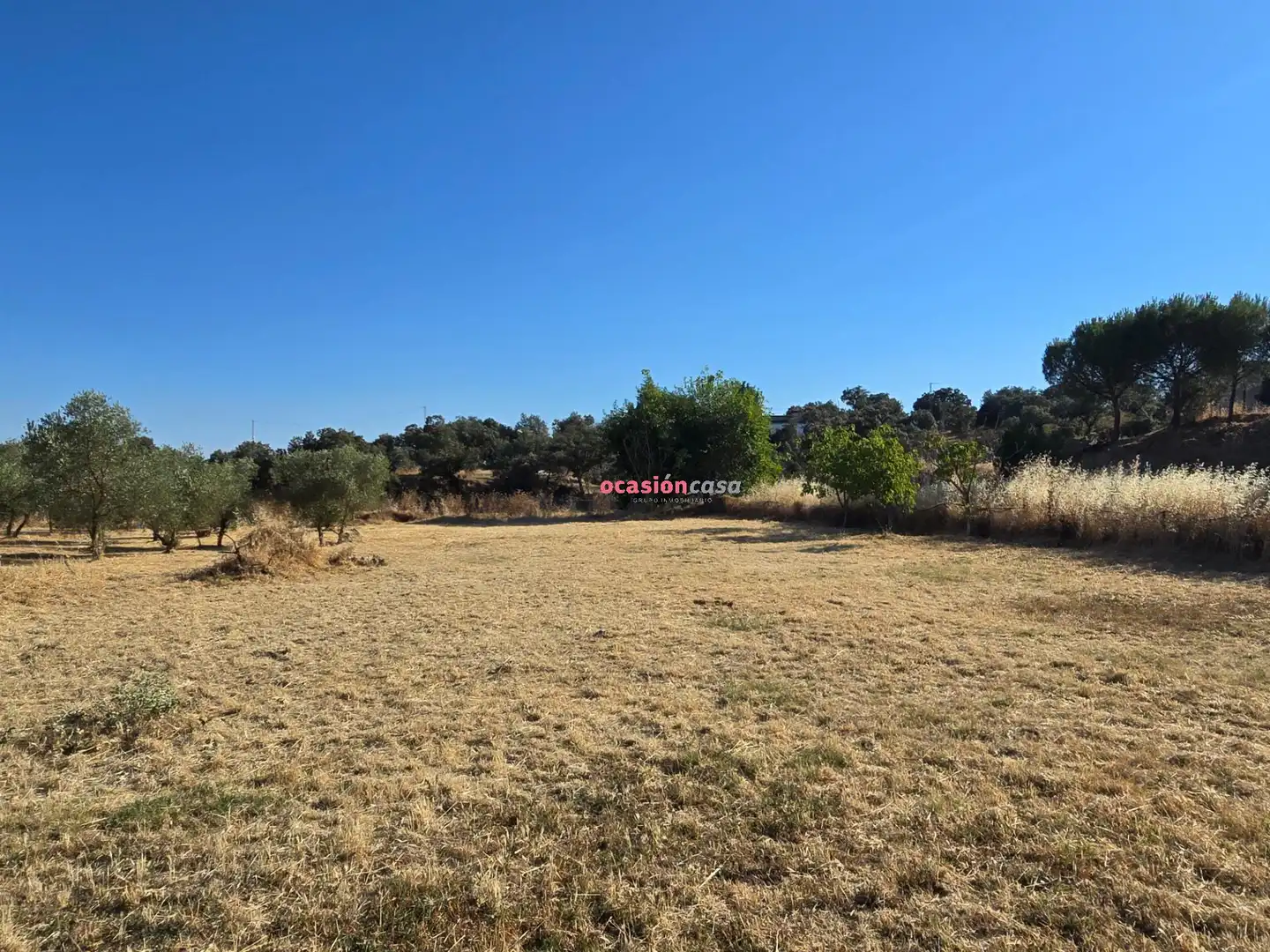 Houses for sale in Añora, Córdoba