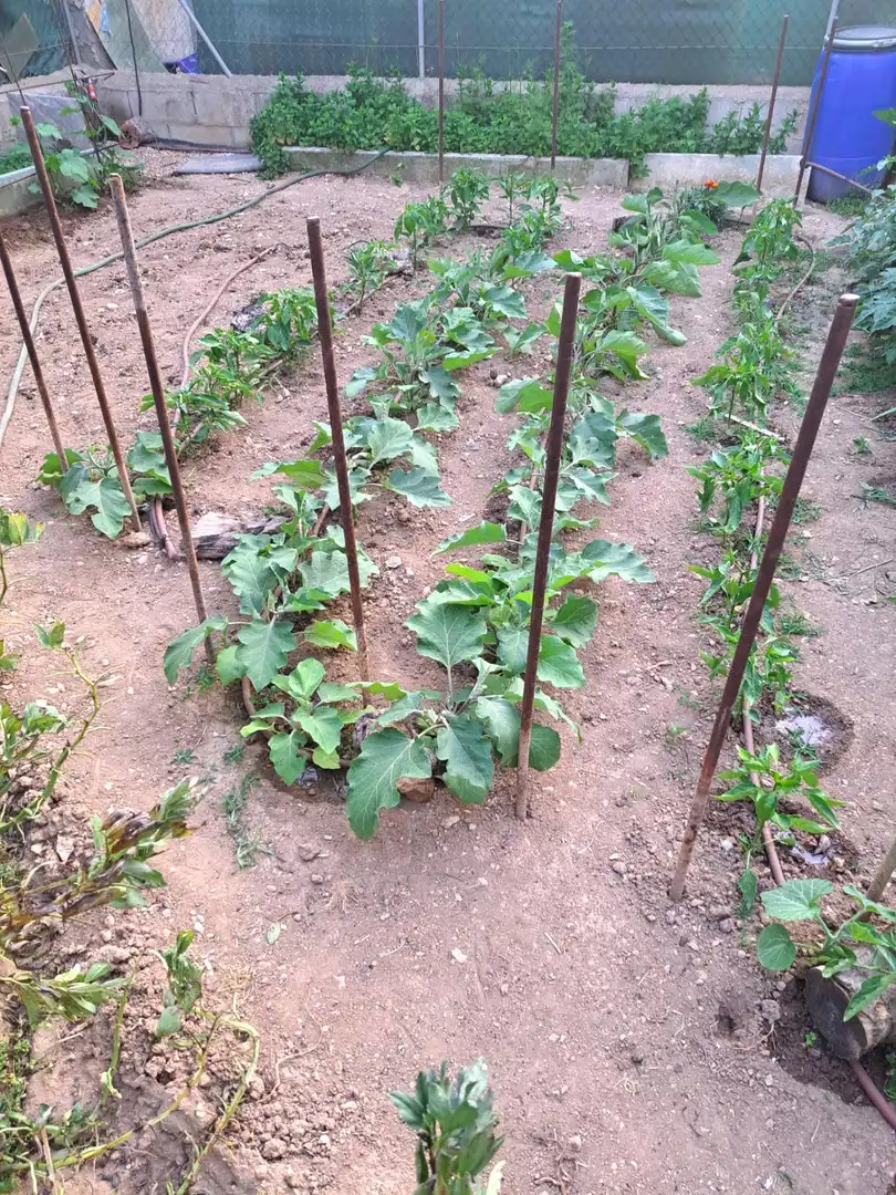 Geschaftsraum zum Verkauf in Calvià mit Terrasse und Möbliert