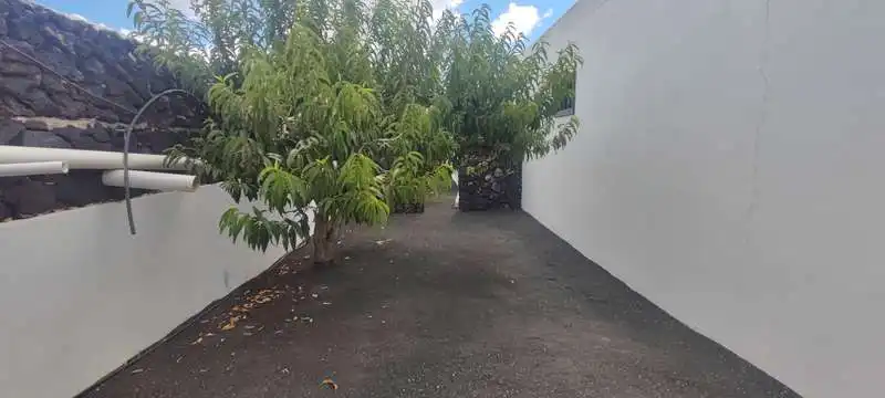 Vista exterior de Casa o chalet en venta en Teguise con Jardín privado, Terraza y Piscina