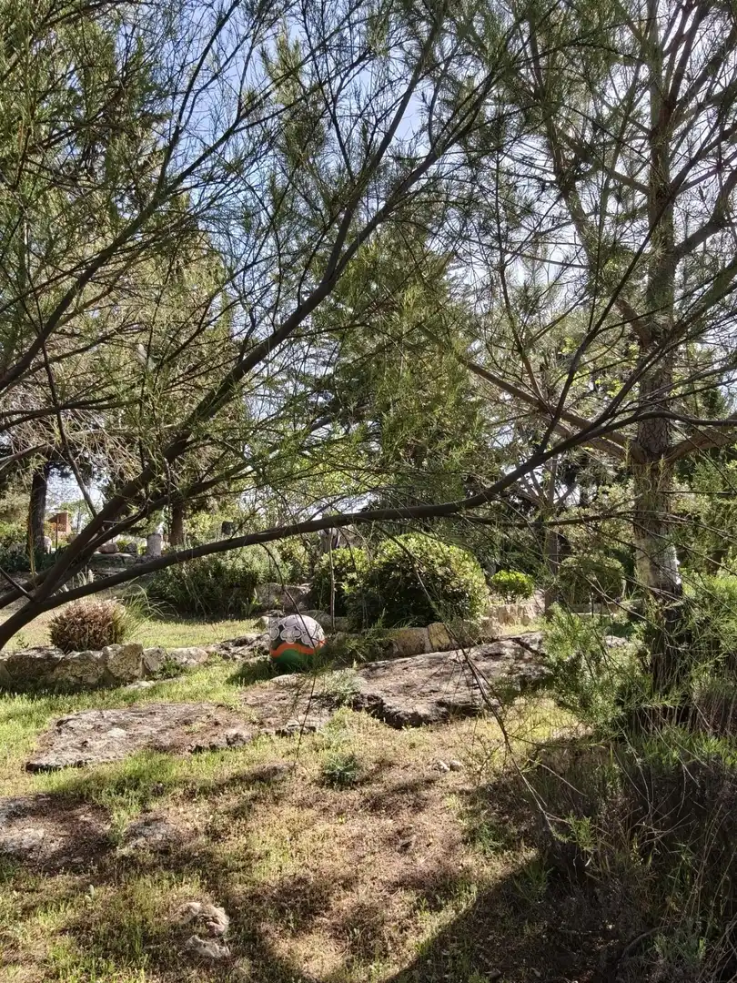 Chalet en venta en CERRO PALOS poligono 45 parcela 63, imagen 31