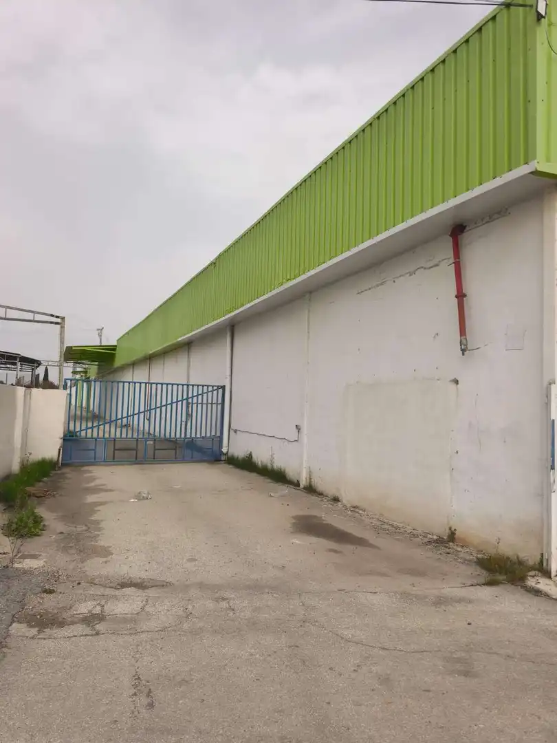 Außenansicht von Fabrikhallen zum Verkauf in Molina de Segura