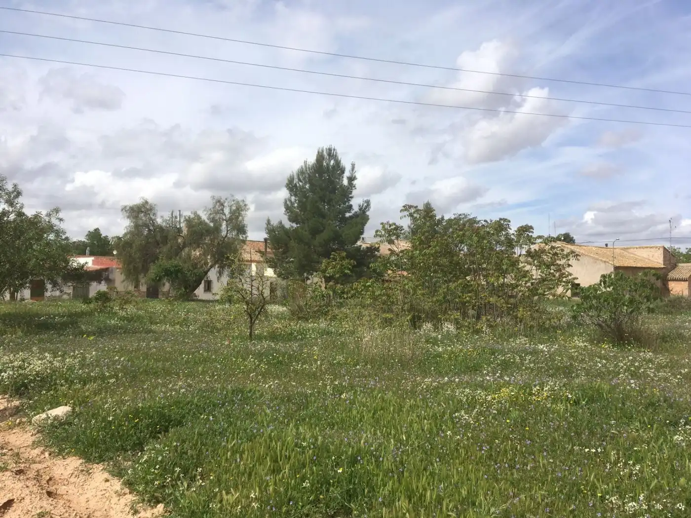 Terreny residencial en venda a Algueña, imagen 12