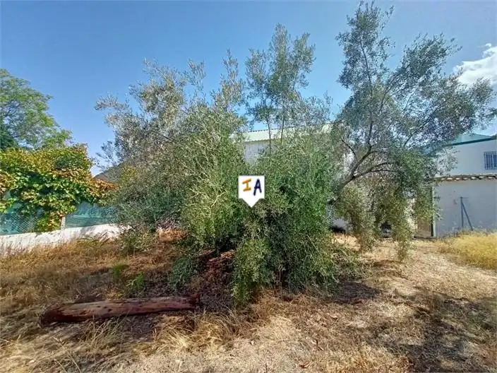 Finca rústica en venta en Cabra