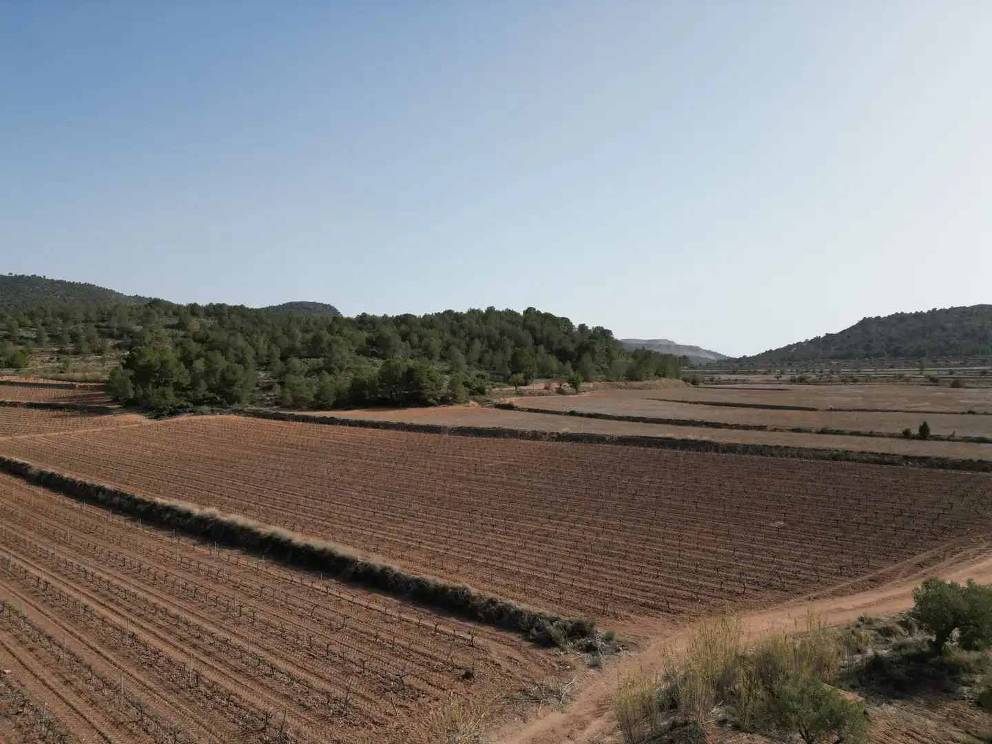 Residential land for sale in El Pinós / Pinoso
