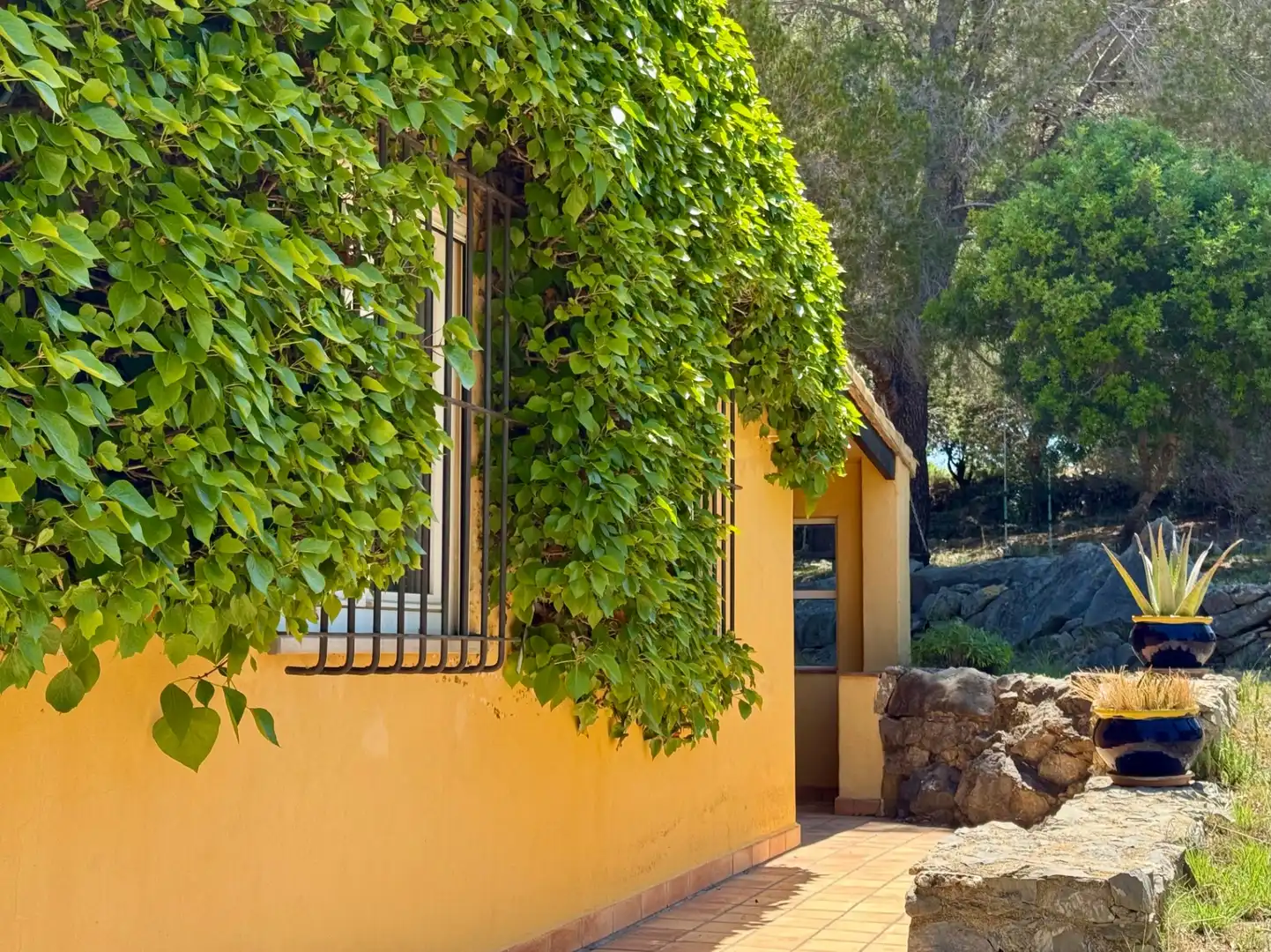Casa o chalet en venta en Carrer de Dalt, -1, Jesús Pobre
