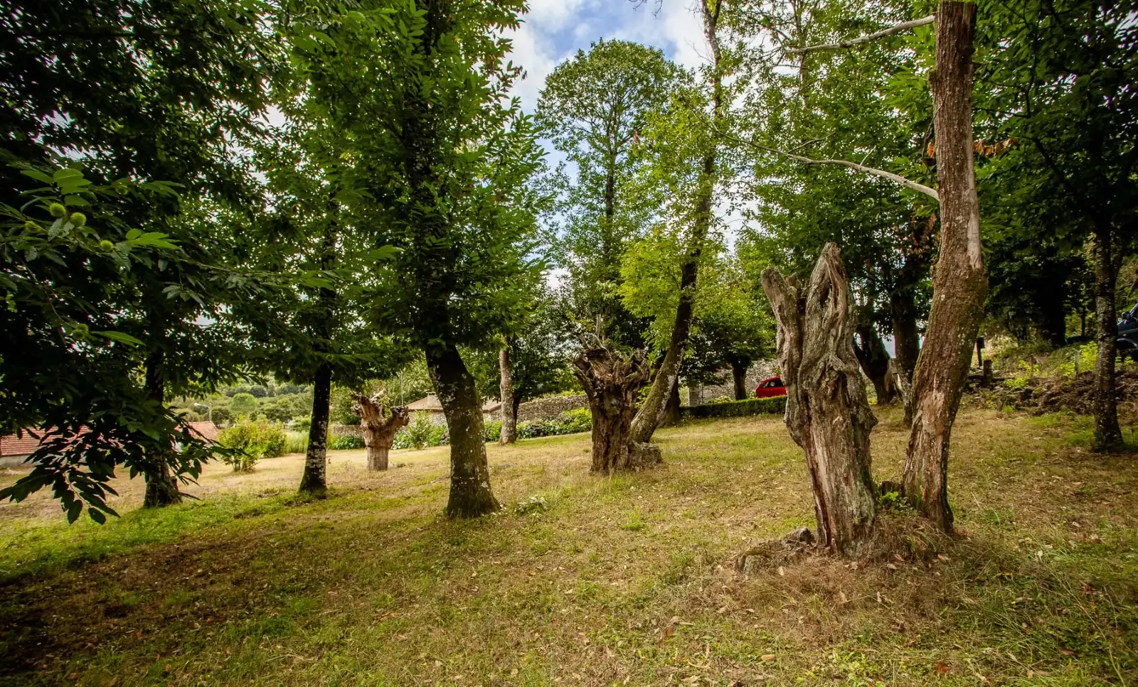 Jardí de Finca rústica en venda en Chantada amb Aire condicionat, Calefacció i Jardí privat