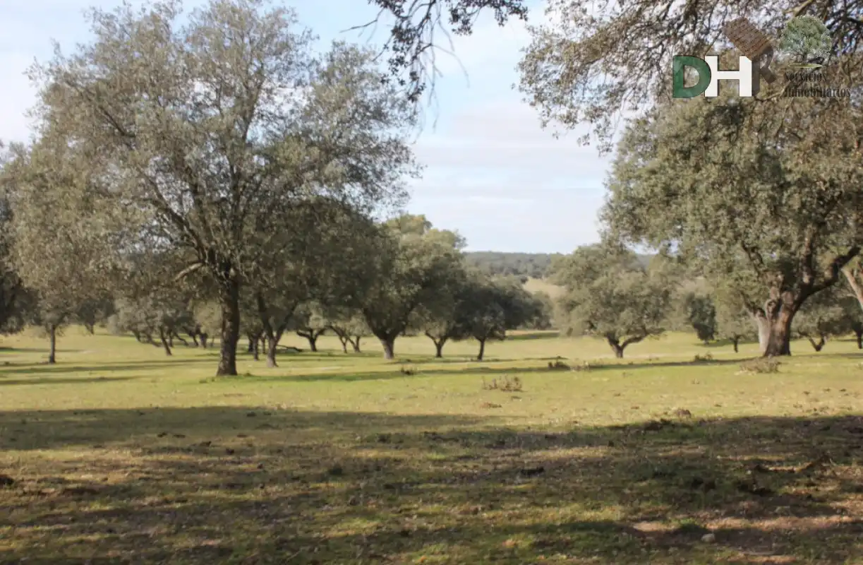 Terrenys i solars en venda a Los Cigarrales - La Bastida