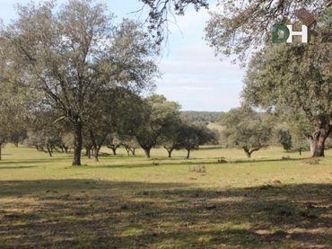 Grundstücke und Bauplätze zum Verkauf in Los Cigarrales - La Bastida