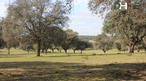 ToledoTerreno