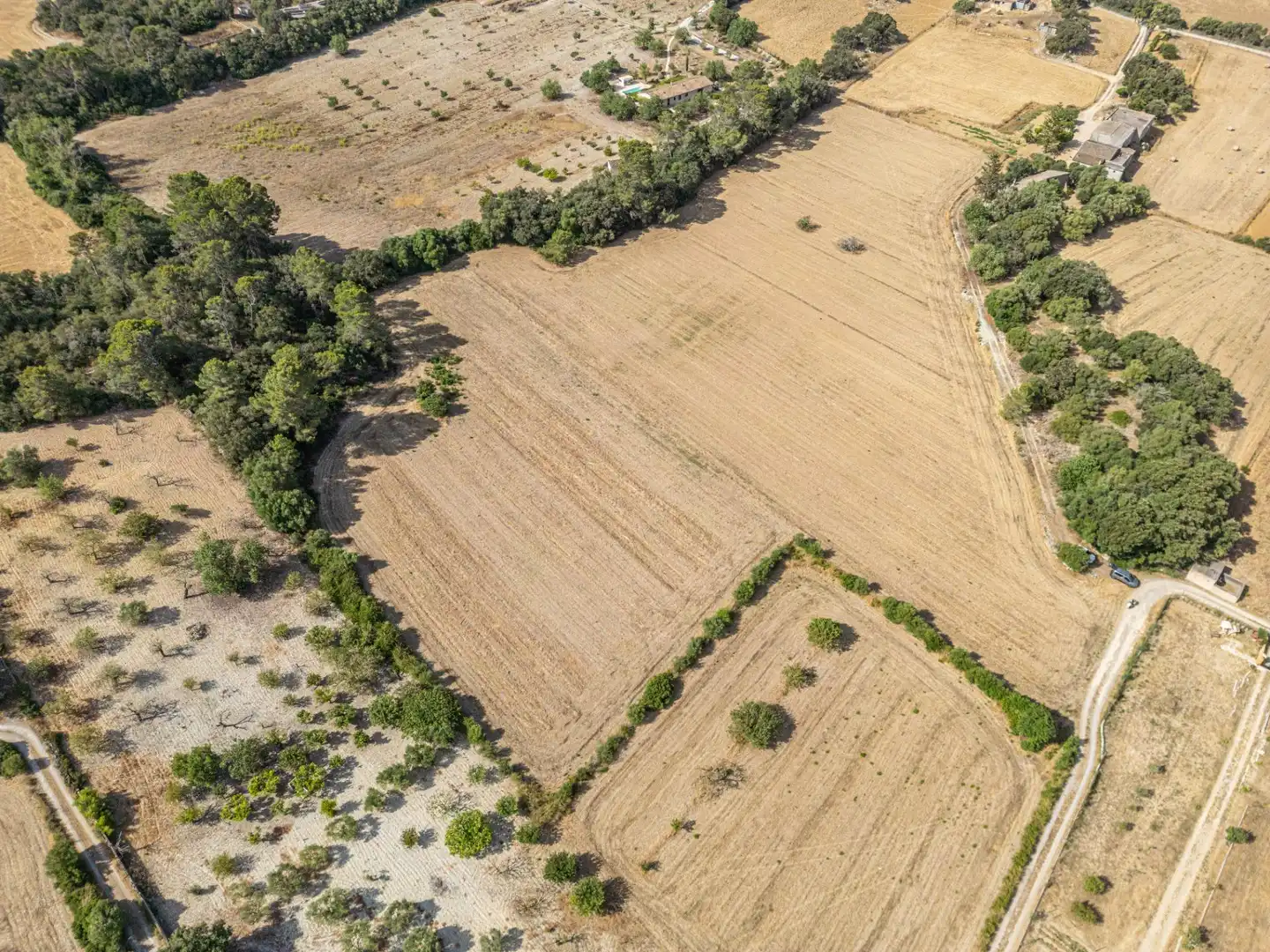 Terrain rustique à vendre à Diseminado Son Mora 199, imagen 6
