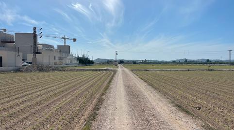 Photo 3 of Land for sale in Carretera de Almoradí, 14, Molins - Campaneta - San Bartolomé, Alicante