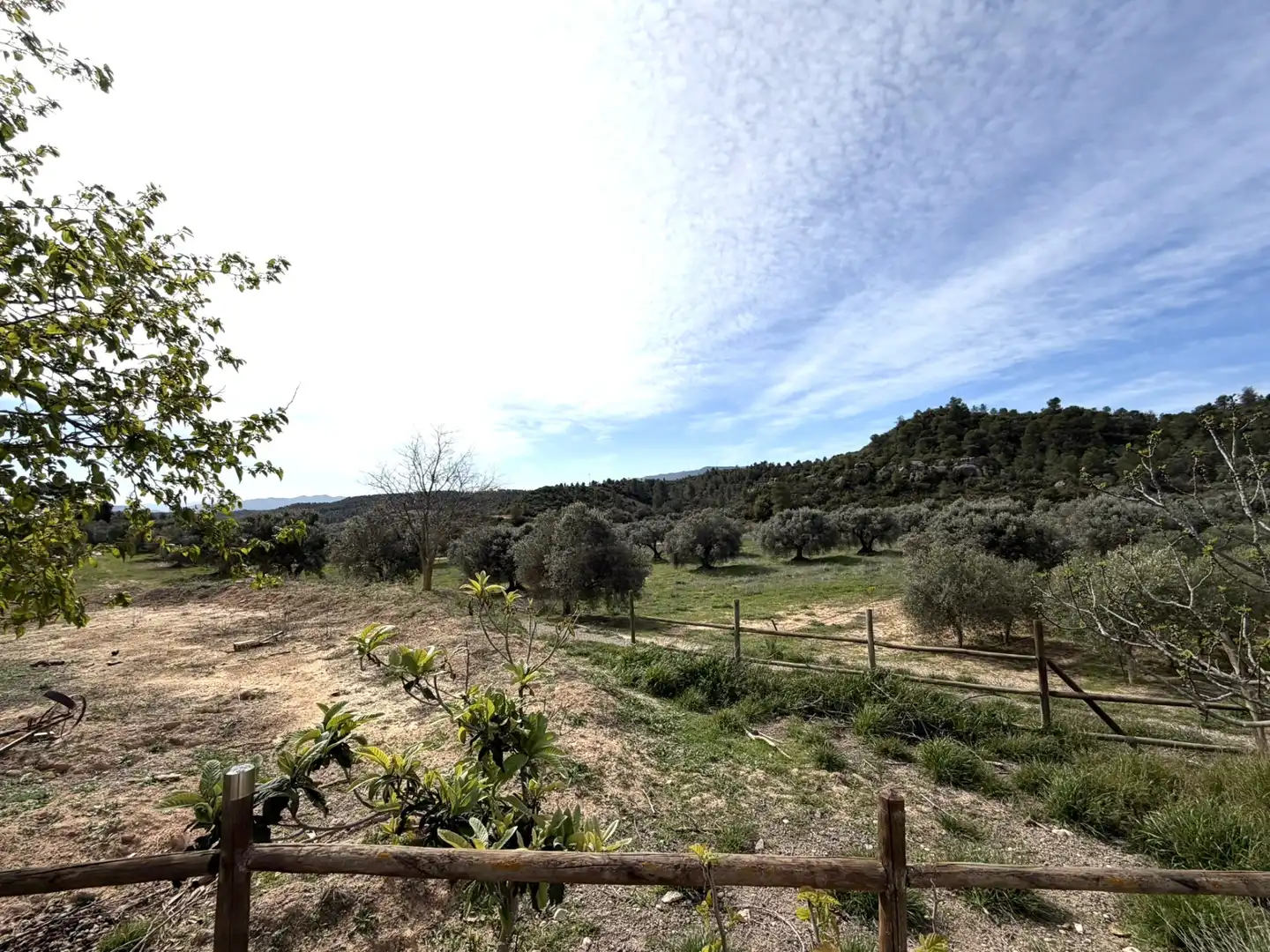 Finca rústica en venta en Flix