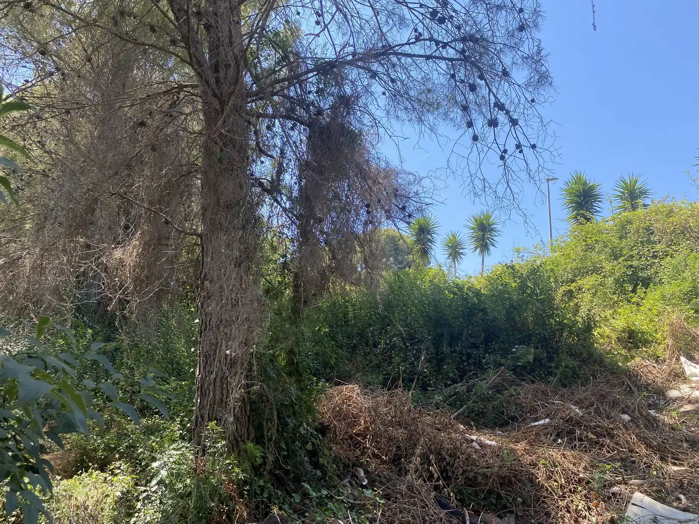 Residential land for sale in Urbanitzacions de Llevant, imagen 20