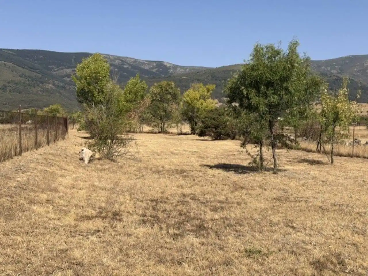 Casa o xalet en venda en Rascafría amb Jardí privat, Terrassa i Moblat