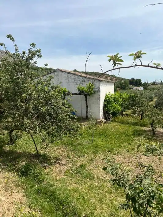 Terreny rústic en venda a Priego de Córdoba, imagen 3