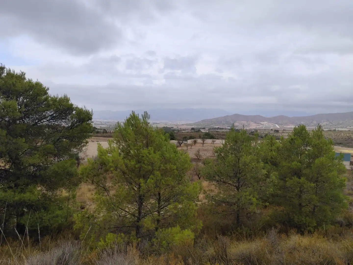 Terreno rustico in vendita a Pedanías Centro, imagen 5