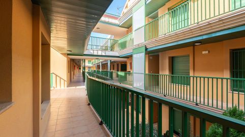 Foto 3 de Piso en venta en Eucaliptus, Eucaliptus - Poble Nou del Delta, Amposta
