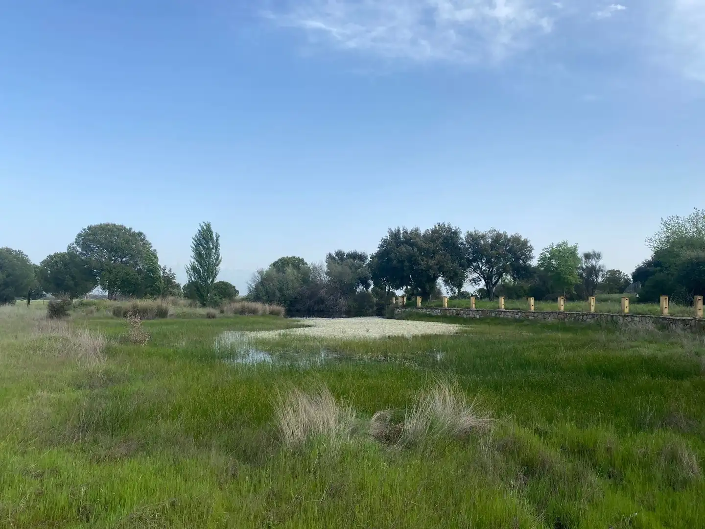 Land for sale in Oropesa