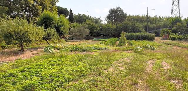 Terreno residencial en Venta en Mas Florit - Ca la Guidó