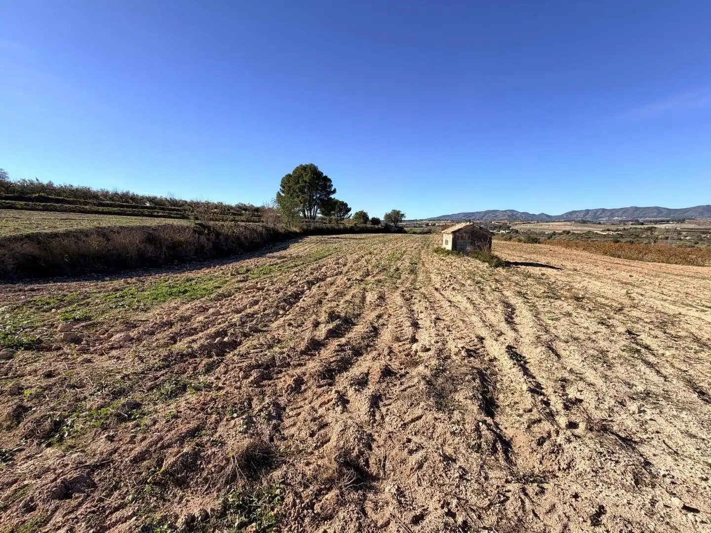 Terreno residenziale in vendita a Albaida, imagen 10