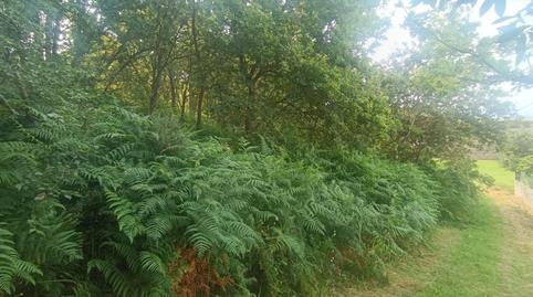 Photo 3 of Residential for sale in Camino San Xurxo-saians, 20, Coruxo - Oia - Saiáns, Vigo