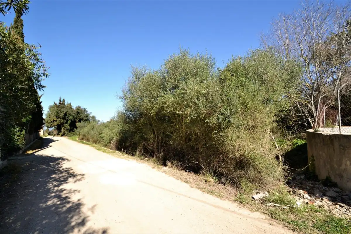 Rural land for sale in Muro, imagen 7