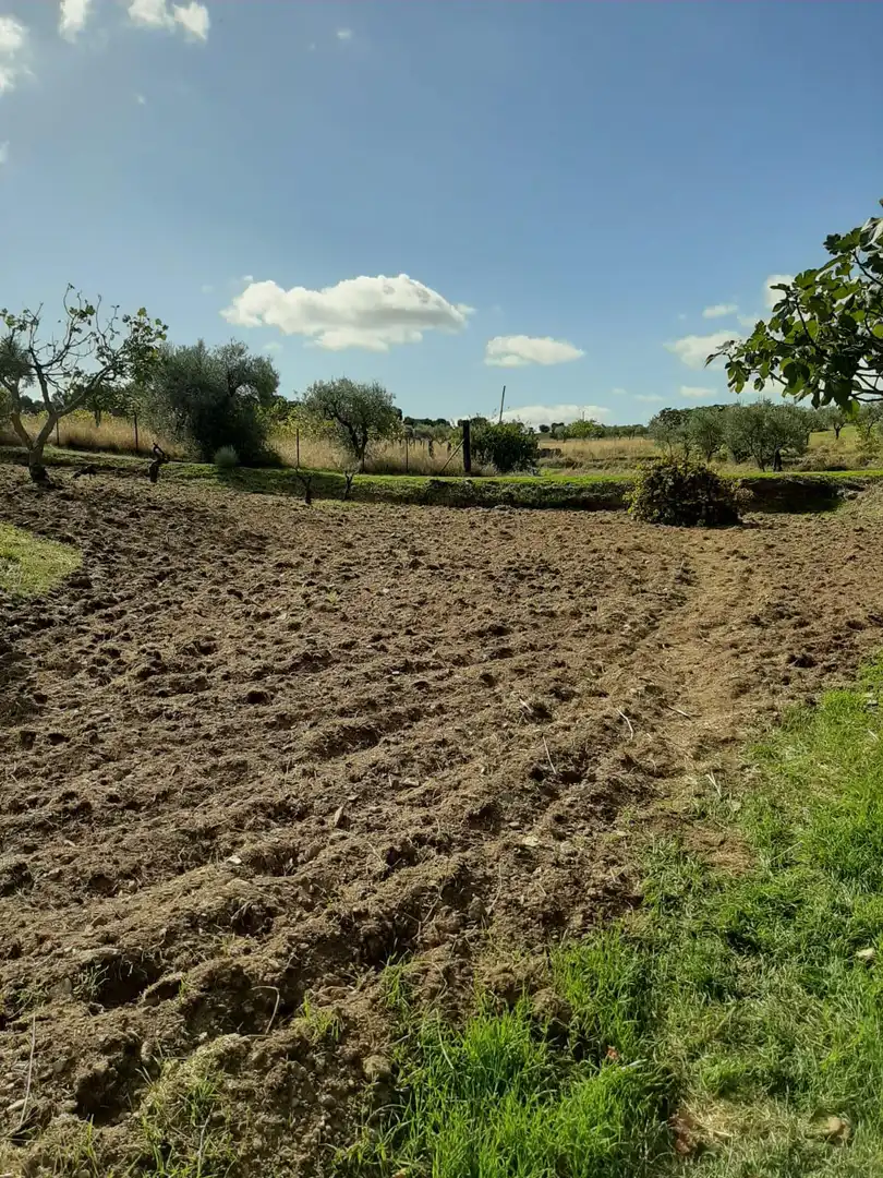 Finca rústica en venta en Jerte