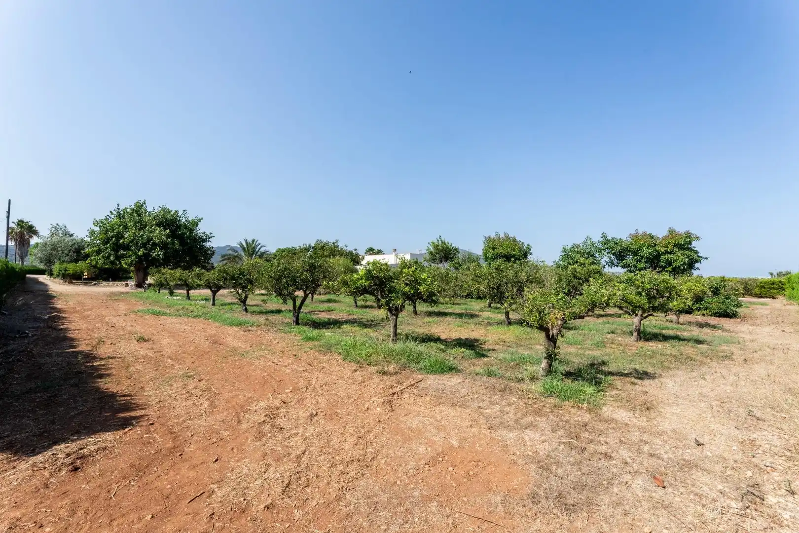 Casa rustica con giardino in vendita a Alcanar, imagen 63