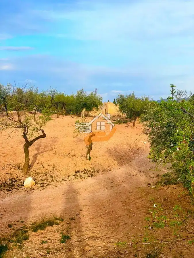 Residential land for sale in Vélez-Rubio, imagen 4