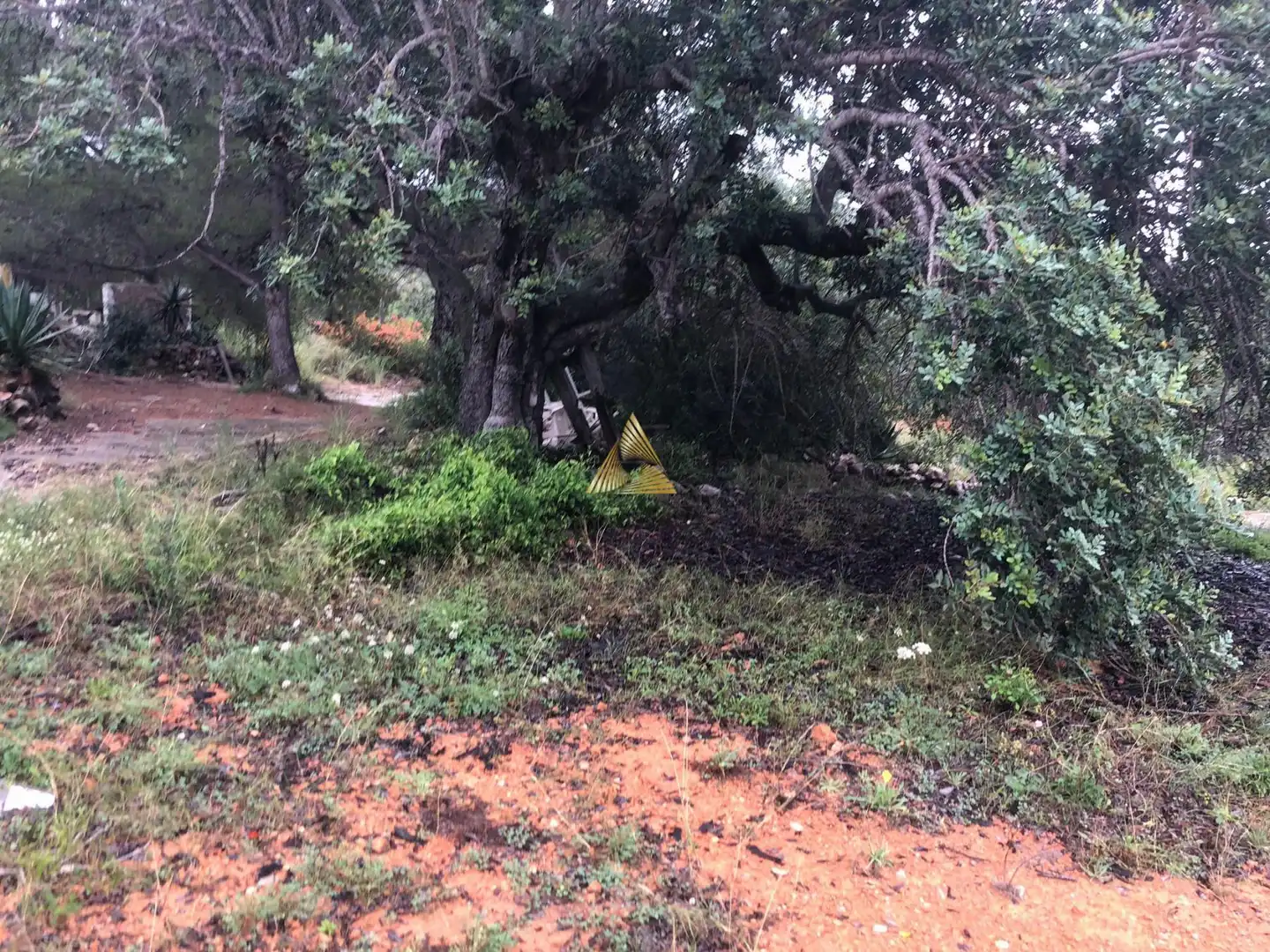 Lands and plots for sale in Las Atalayas - Urmi - Cerro de Mar, imagen 26