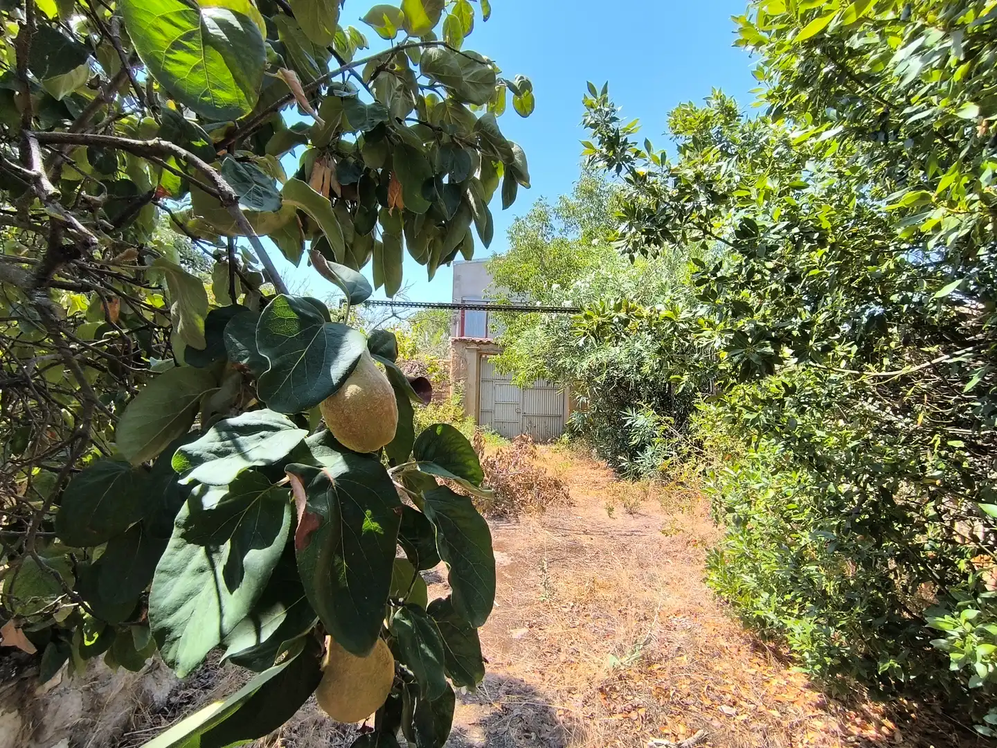 Casa o chalet en venta en Pedraza de Campos con Calefacción, Jardín privado y Terraza