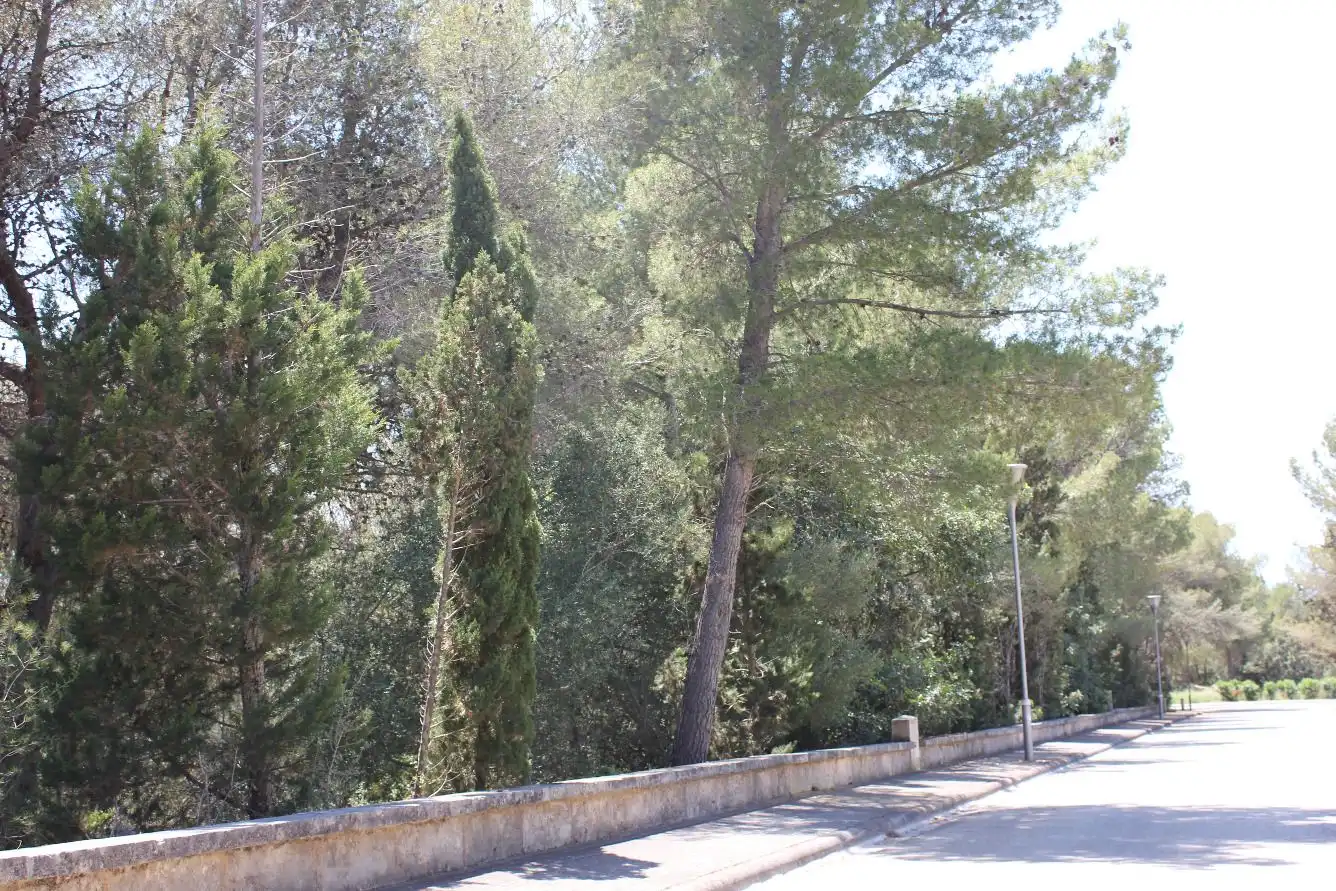 Exterior view of Residential for sale in Alcúdia