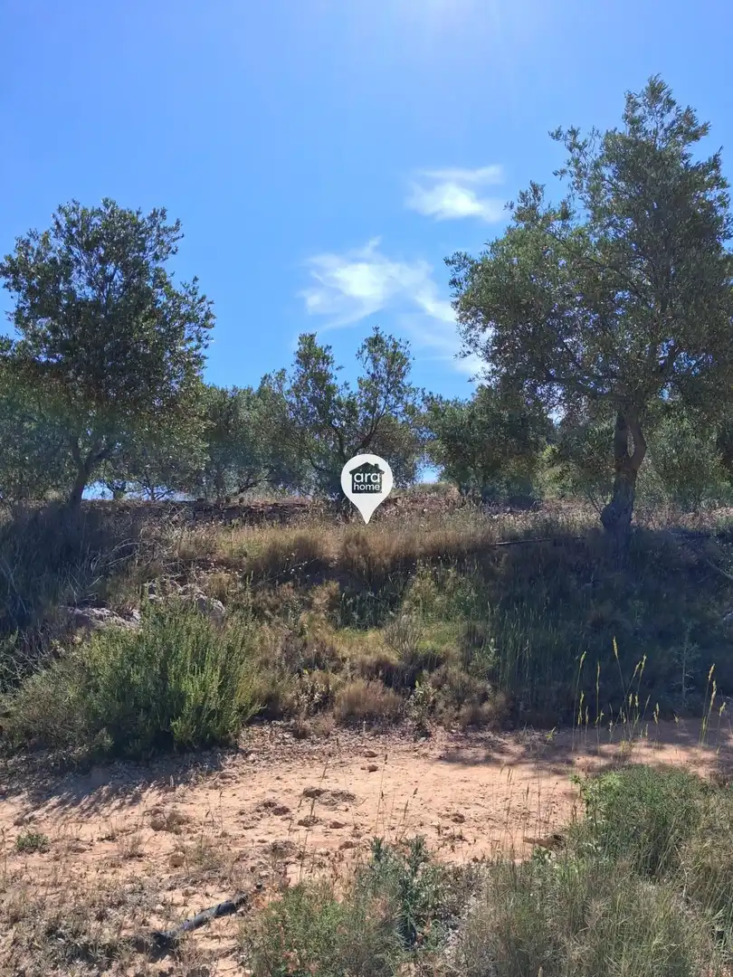 Land for sale in Madrid