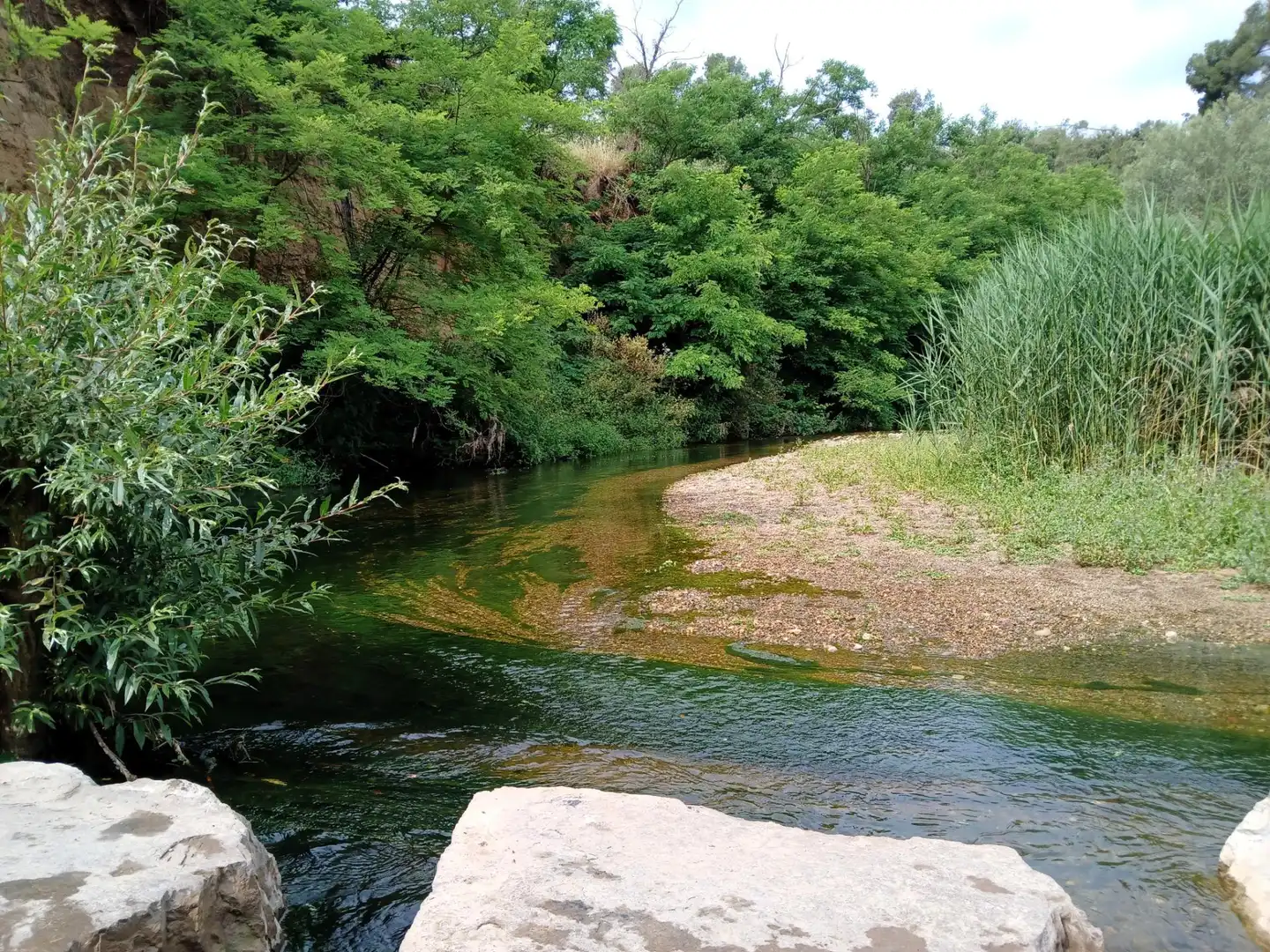 Vista exterior de Terreno en venta en Castellar del Vallès