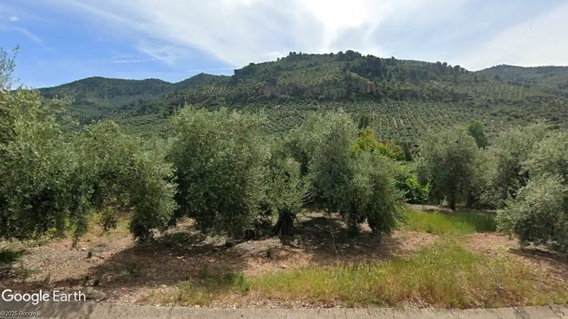 Terreni e lotti in vendita a Puente de Génave, imagen 4