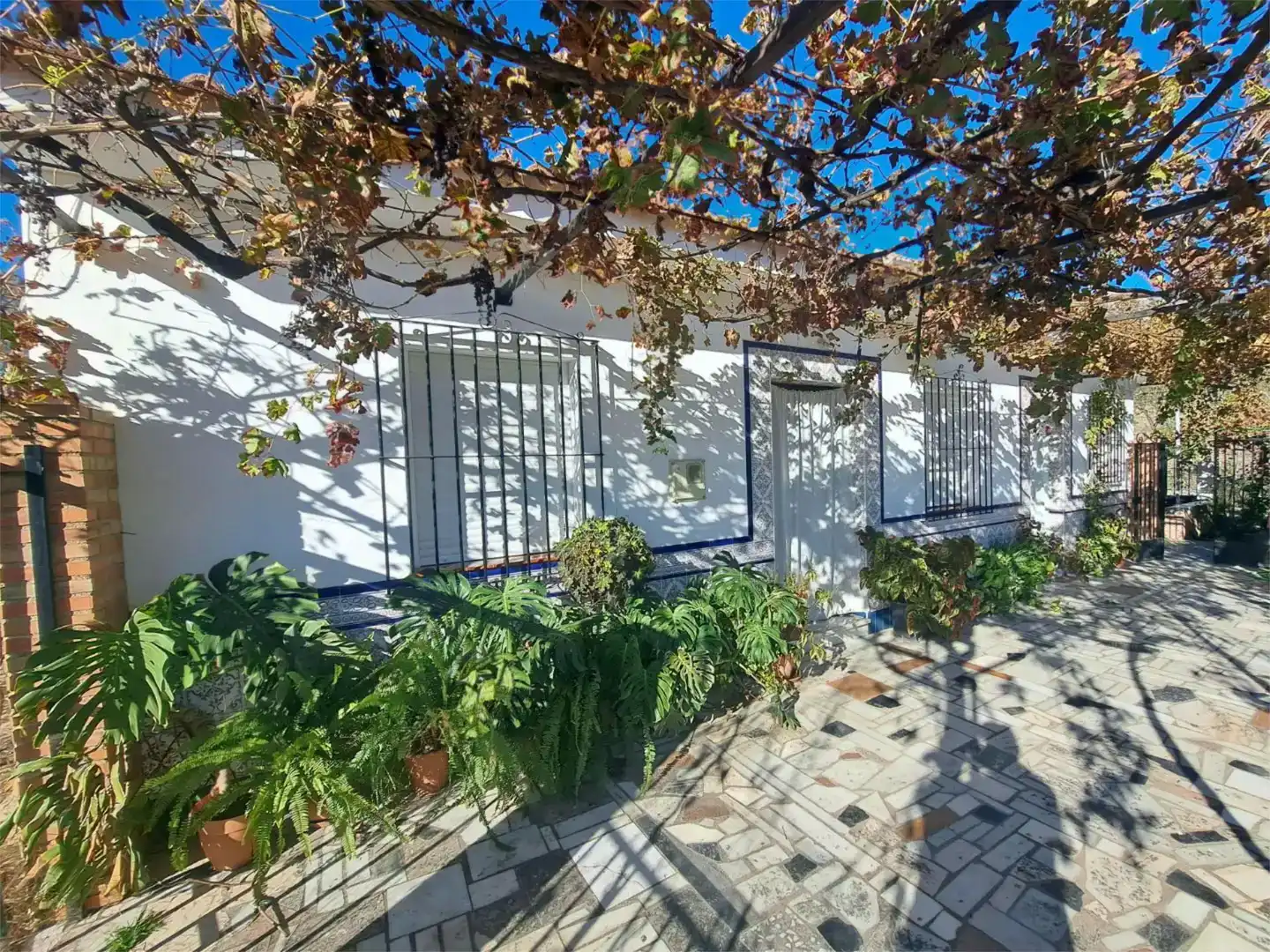 Vista exterior de Casa o xalet en venda en Alfarnatejo