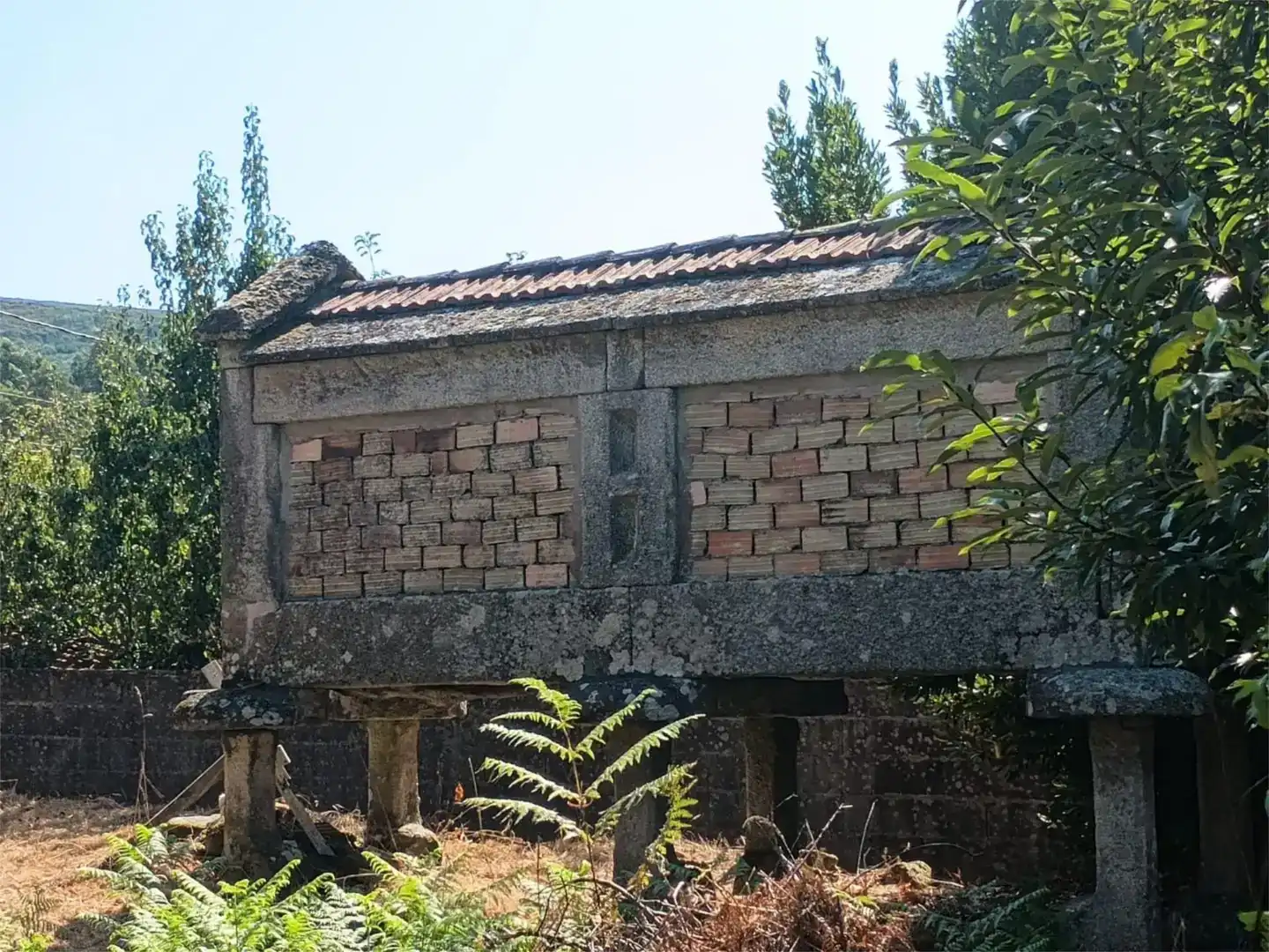 Vista exterior de Finca rústica en venda en Fornelos de Montes