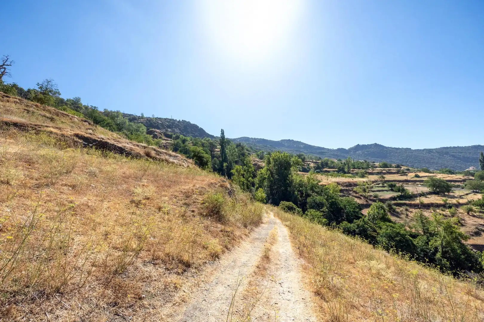 Rural land for sale in Polígono 3 Parcela 19 JARILA. BUBION (GRANADA), imagen 10