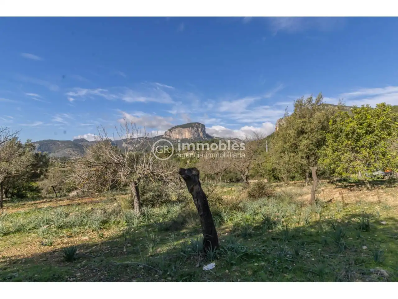 Terreny rústic en venda a Alaró, imagen 17