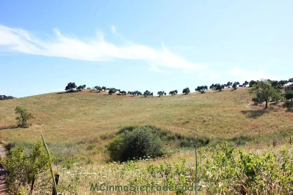 Finca rústica en venta en Montecorto