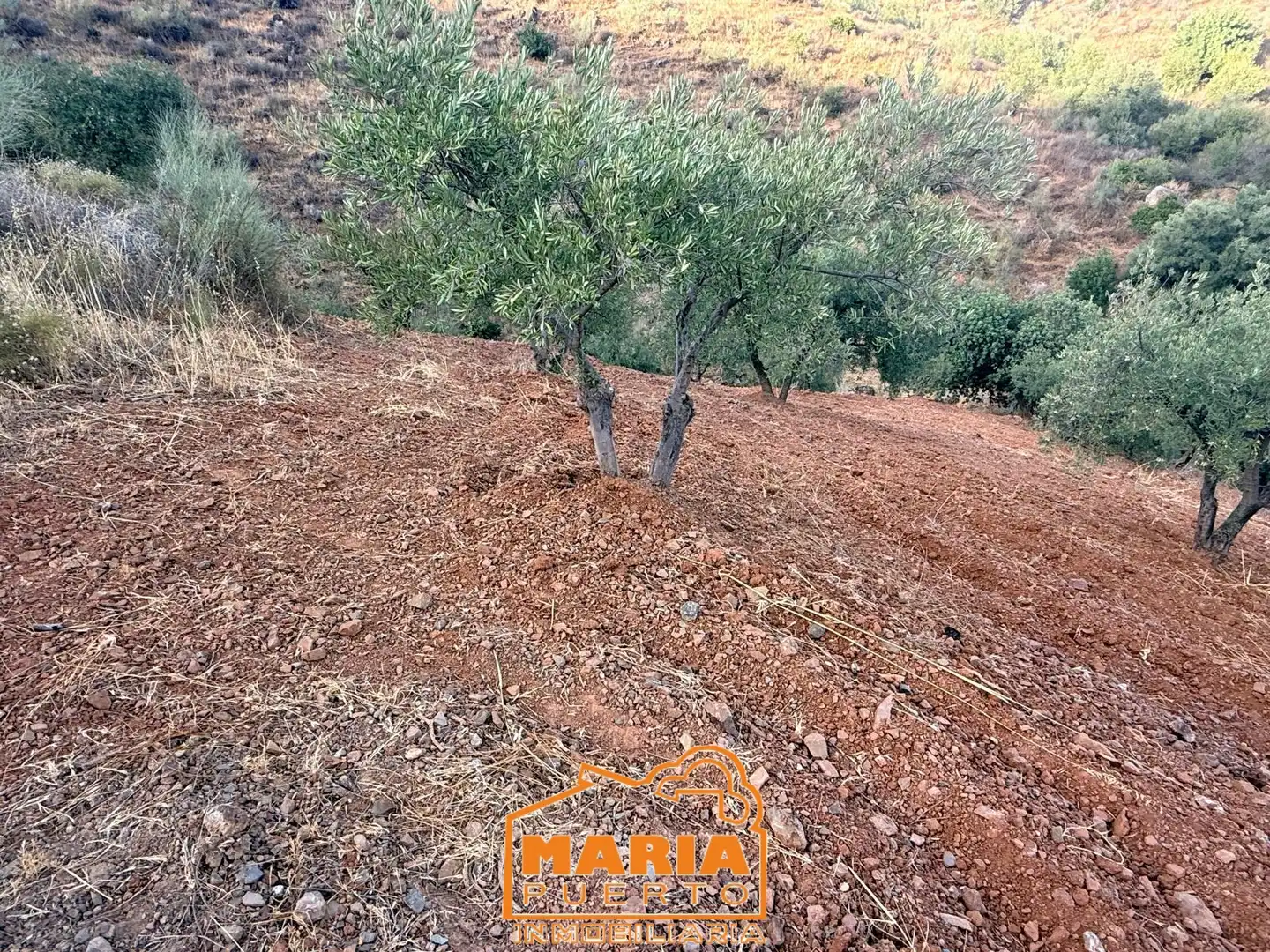 Terreno rustico in vendita a Almogía, imagen 3