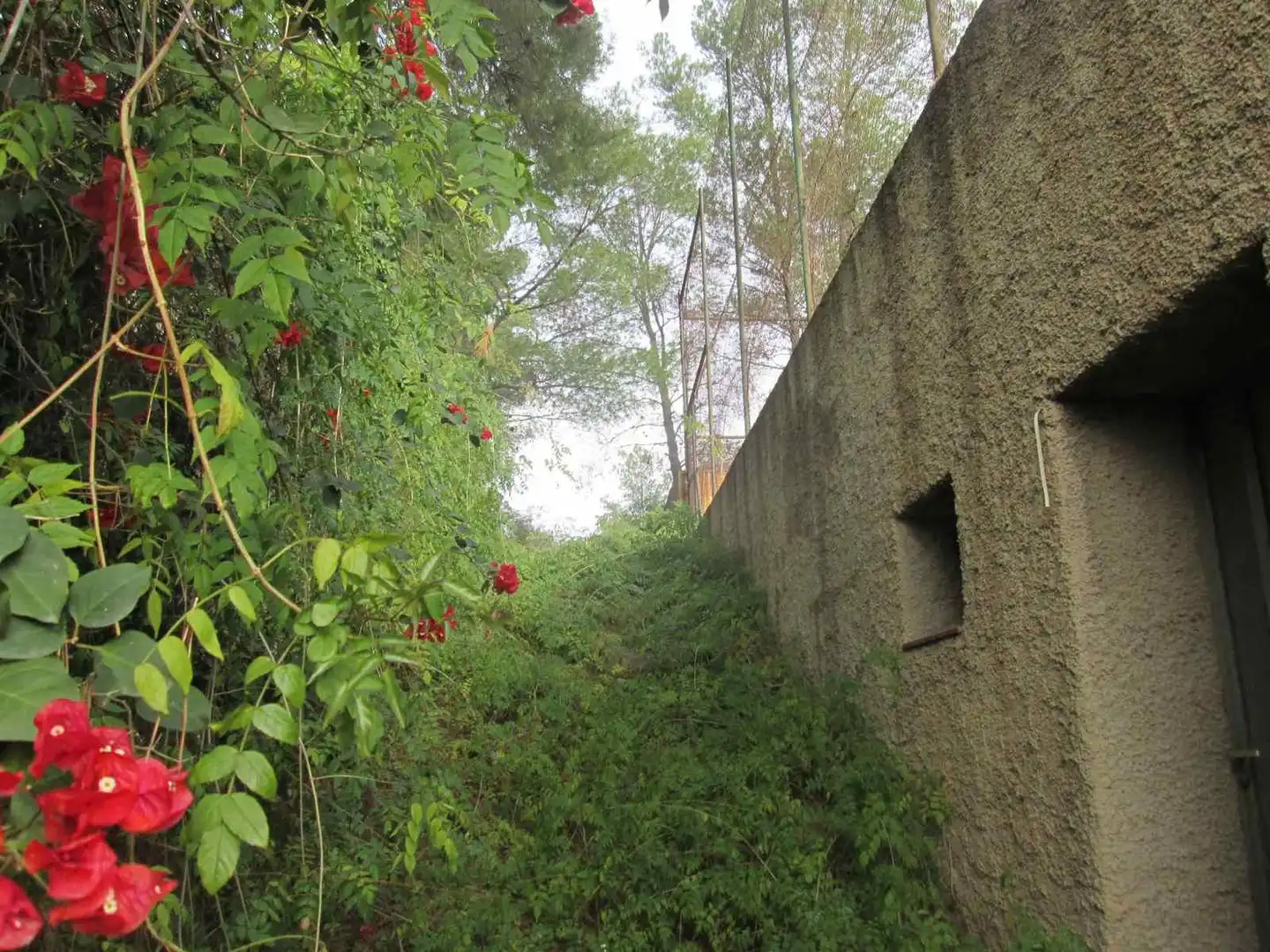 Residential land for sale in Calle Font De L´Or, imagen 10