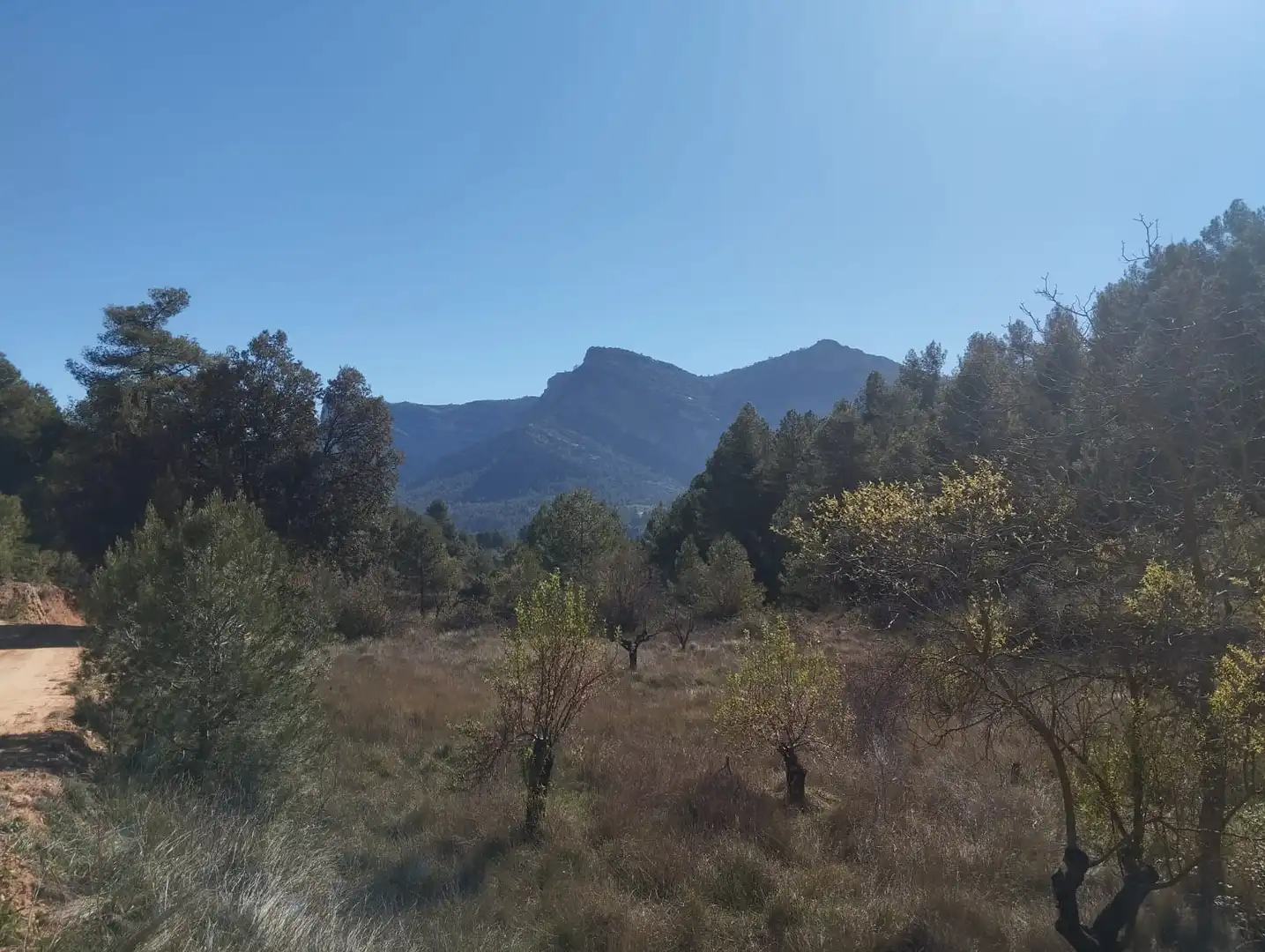 Terreni e lotti in vendita a Beceite, imagen 6