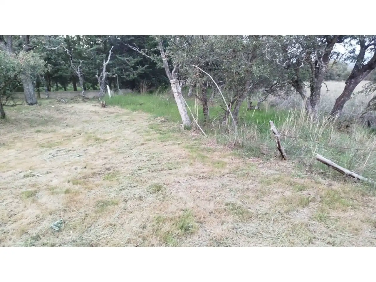 Terreny rústic en venda a Villavieja del Lozoya, imagen 3