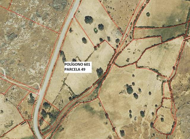 Terreno en Venta en N/A, -1 en Puente del Congosto